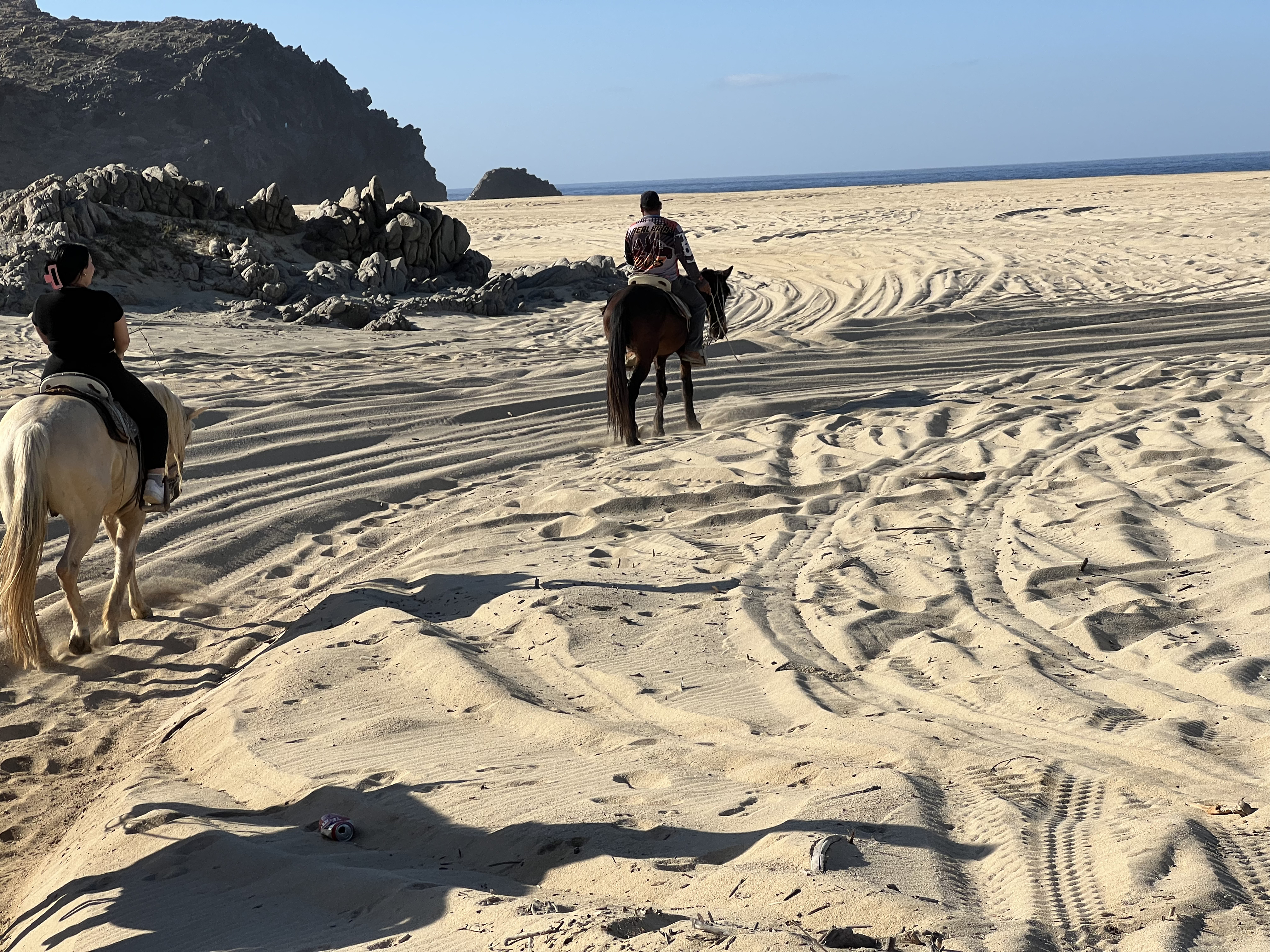 ./2024/13 - Cabo/IMG_4391.jpg